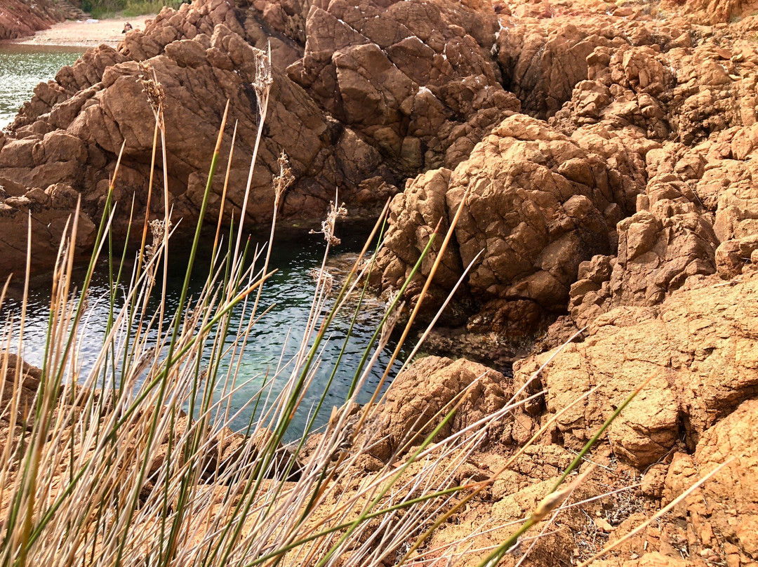 Calanque du Petit Caneiret景点图片