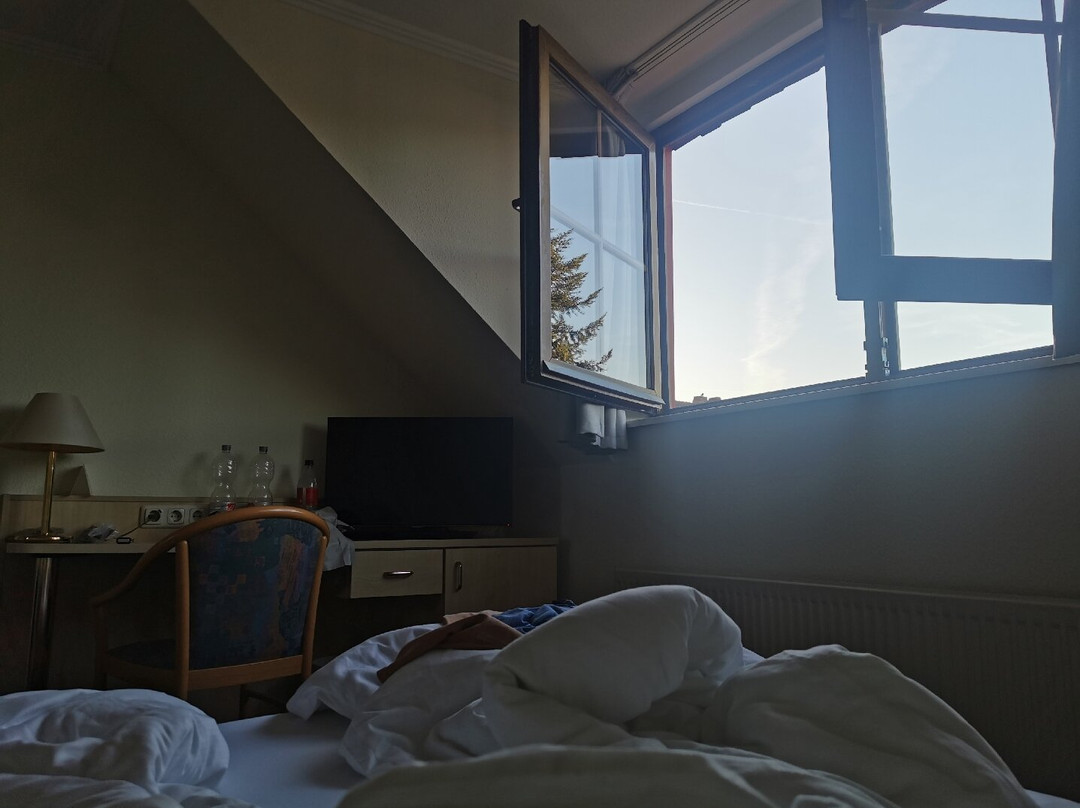 Hotel Erfurtblick主图