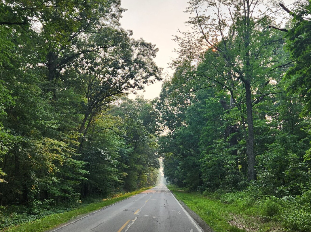 Oak Openings Preserve Metropark-Swanton必去景点