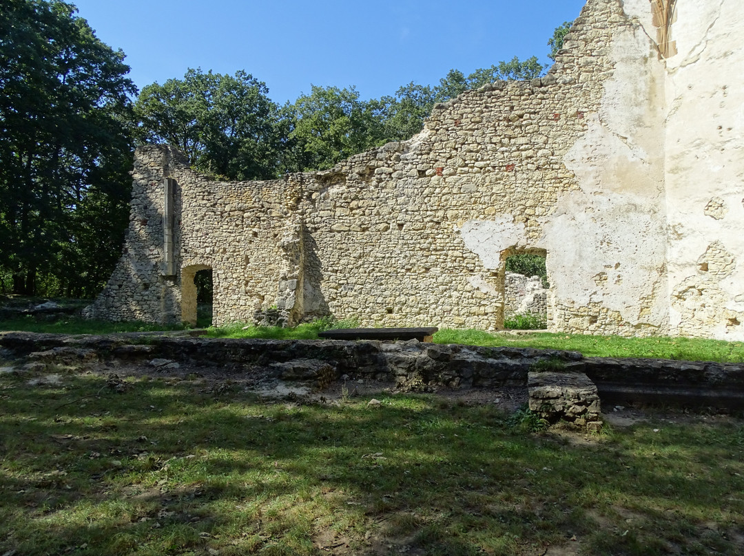 Ruins of the Pauline Monastery景点图片