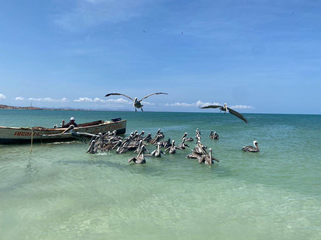 Coche Beach-Coche Island必去景点