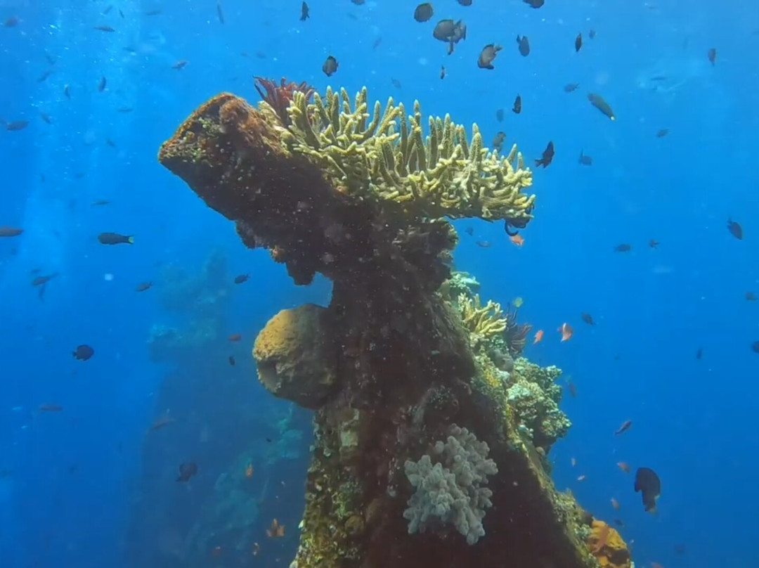 Abyss Dive Center Bali景点图片