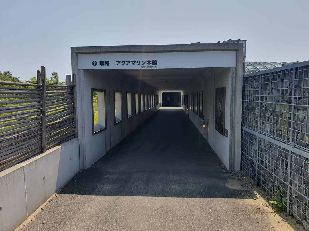 福岛水族馆-盘城市必去景点