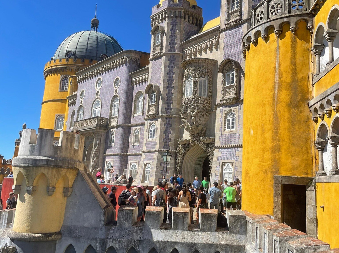 Odyssey Tours - Day Tours & Experiences景点图片
