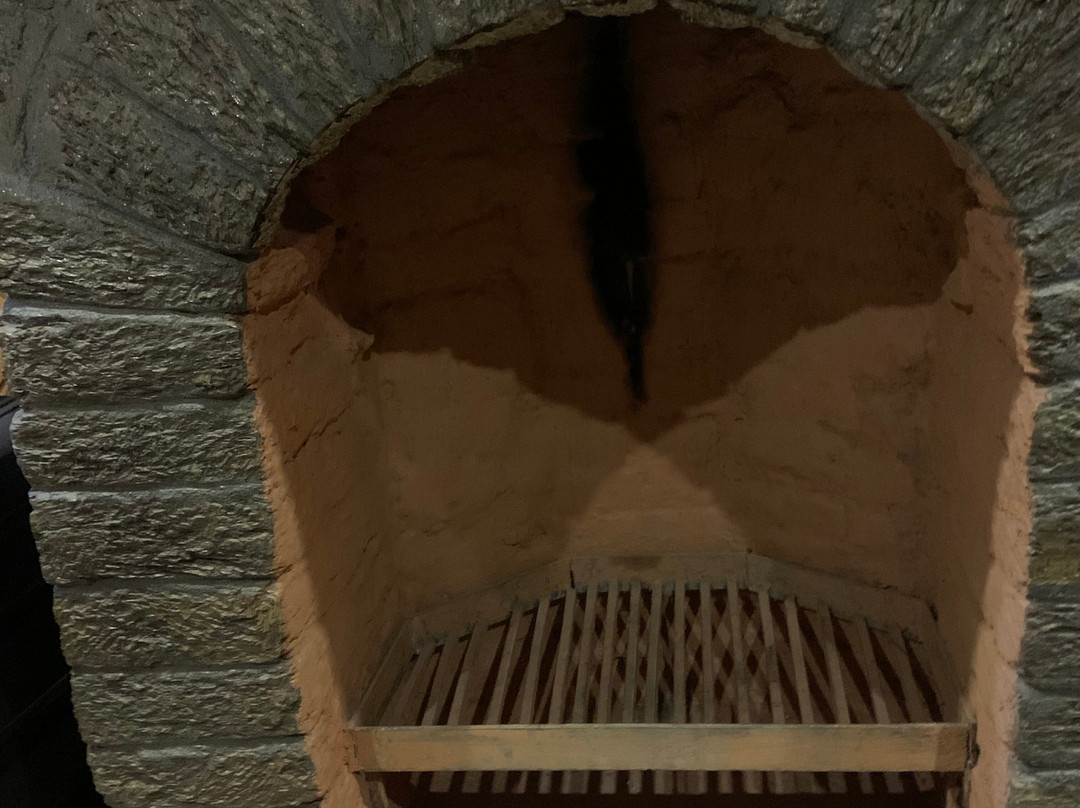 The Green Village Eco Resort主图