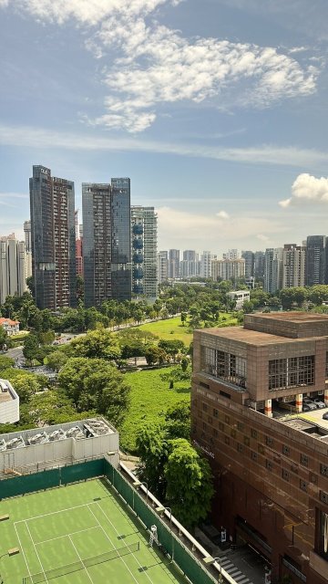 新加坡乌节希尔顿酒店-酒店景观