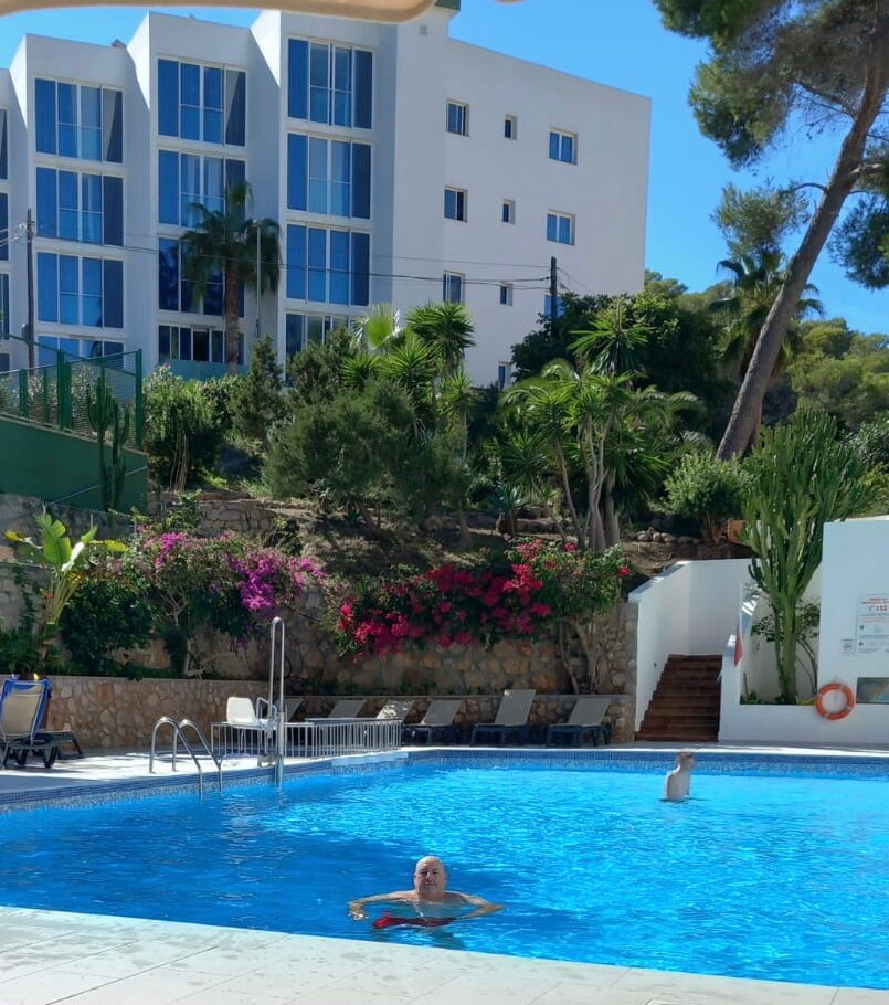Hotel Apartamentos El Pinar-泳池