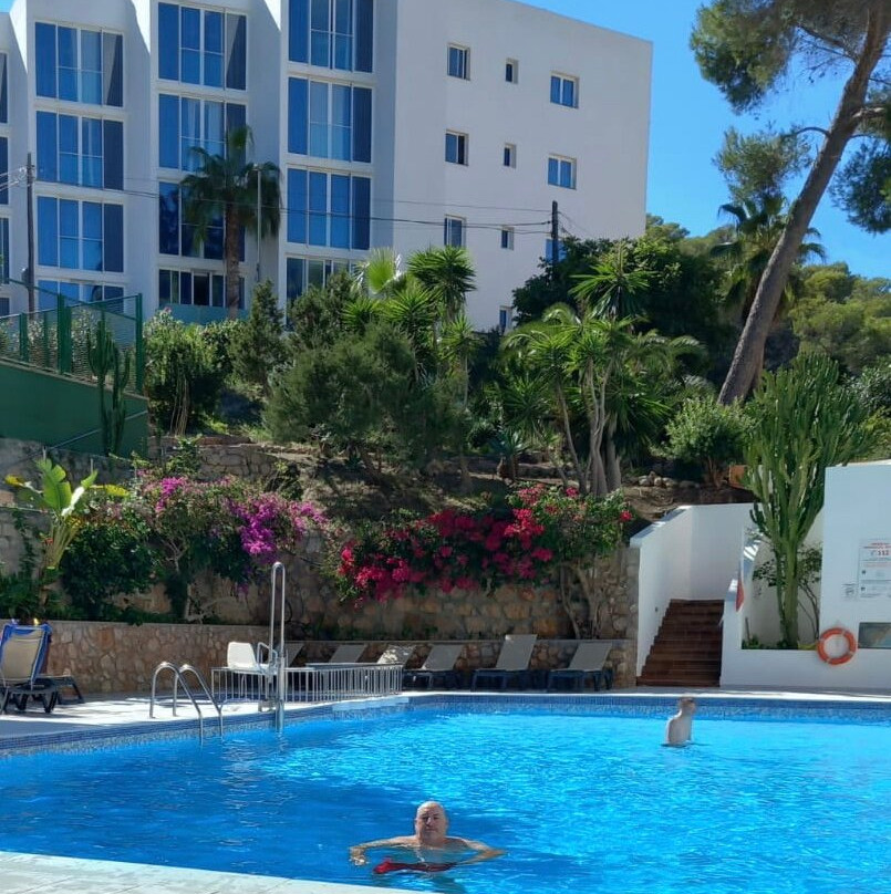 Hotel Apartamentos El Pinar主图