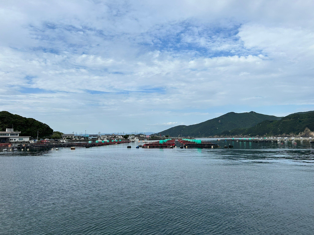 Kashiwajima Island-大月町必去景点