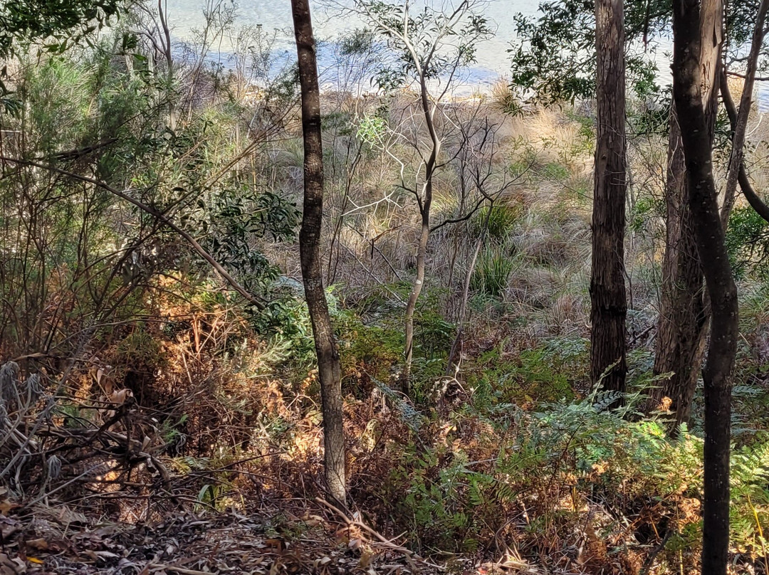 豪顿别墅酒店主图