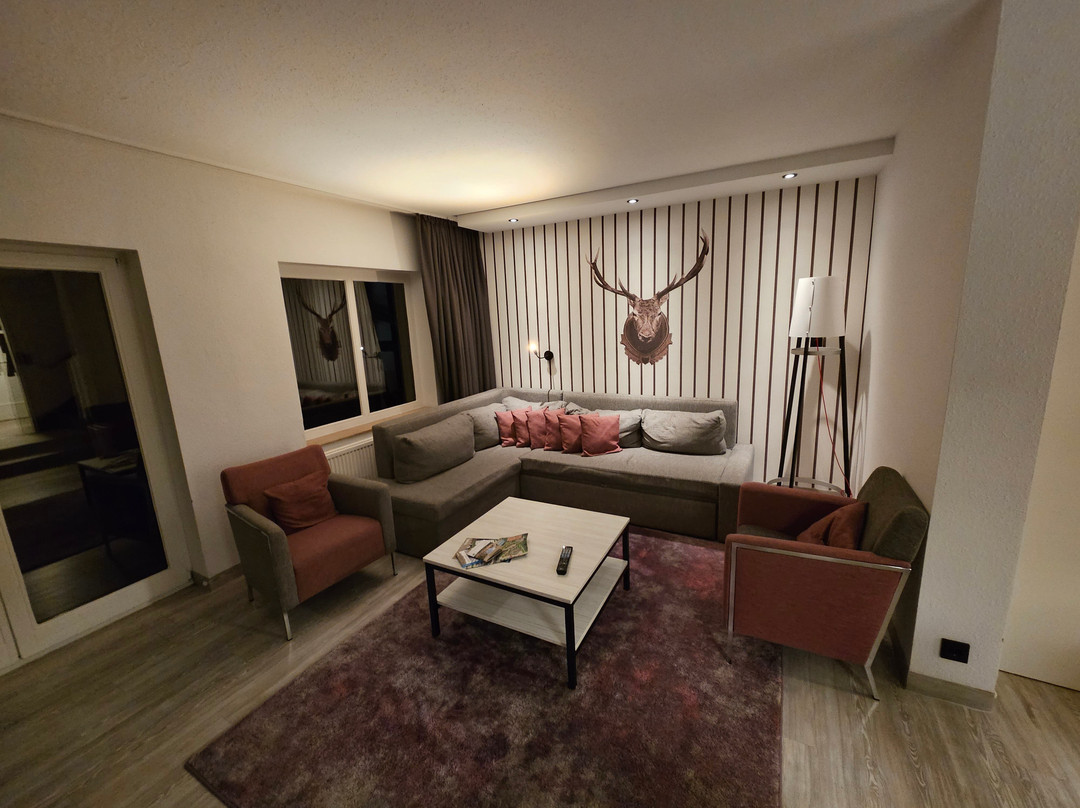 Dorint Resort Winterberg主图