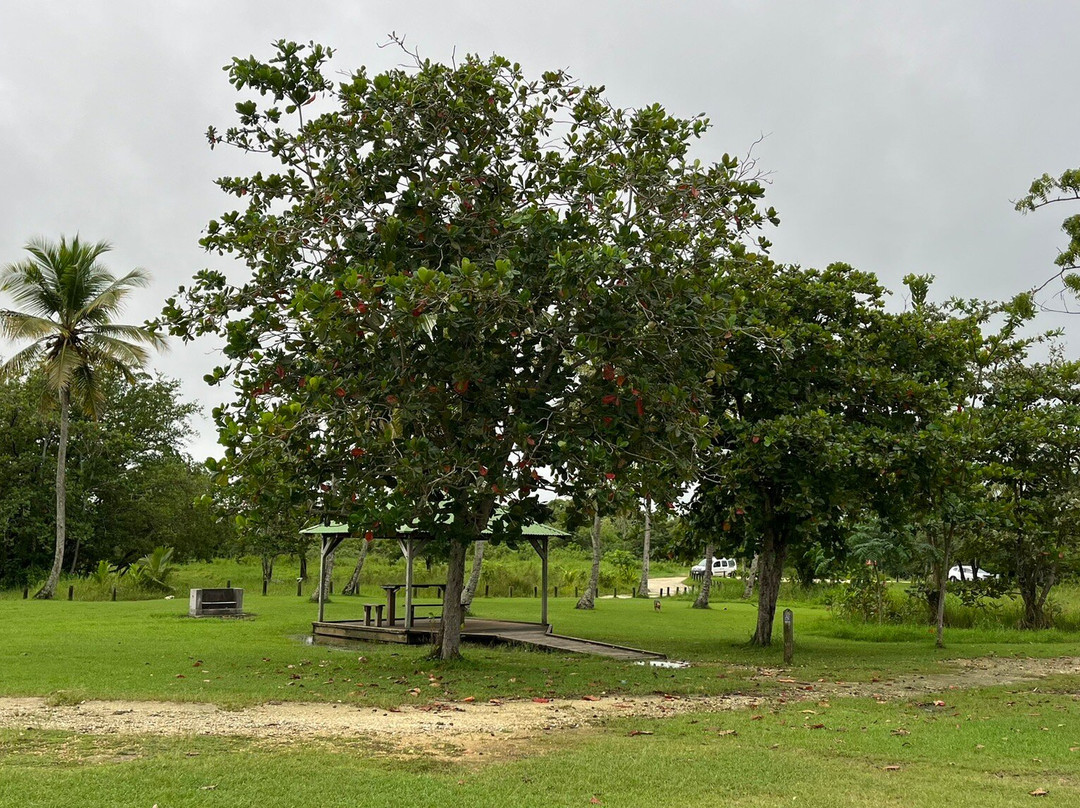 Plage de Babin-Morne-A-l'Eau必去景点