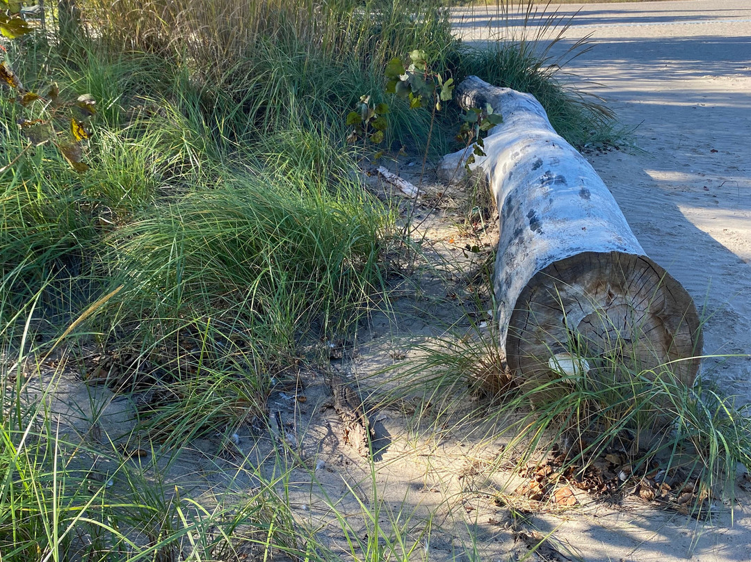 Sunset Beach-圣凯瑟琳斯必去景点