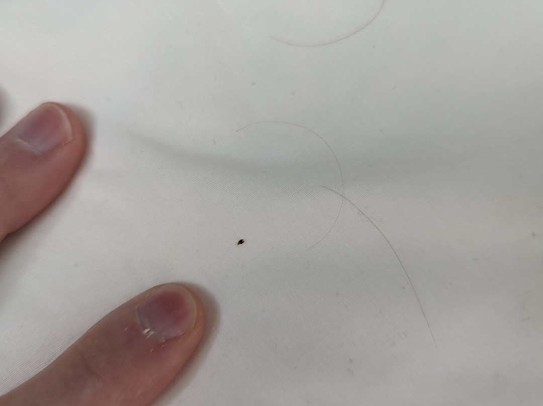 SpringHill Suites by Marriott Stillwater主图