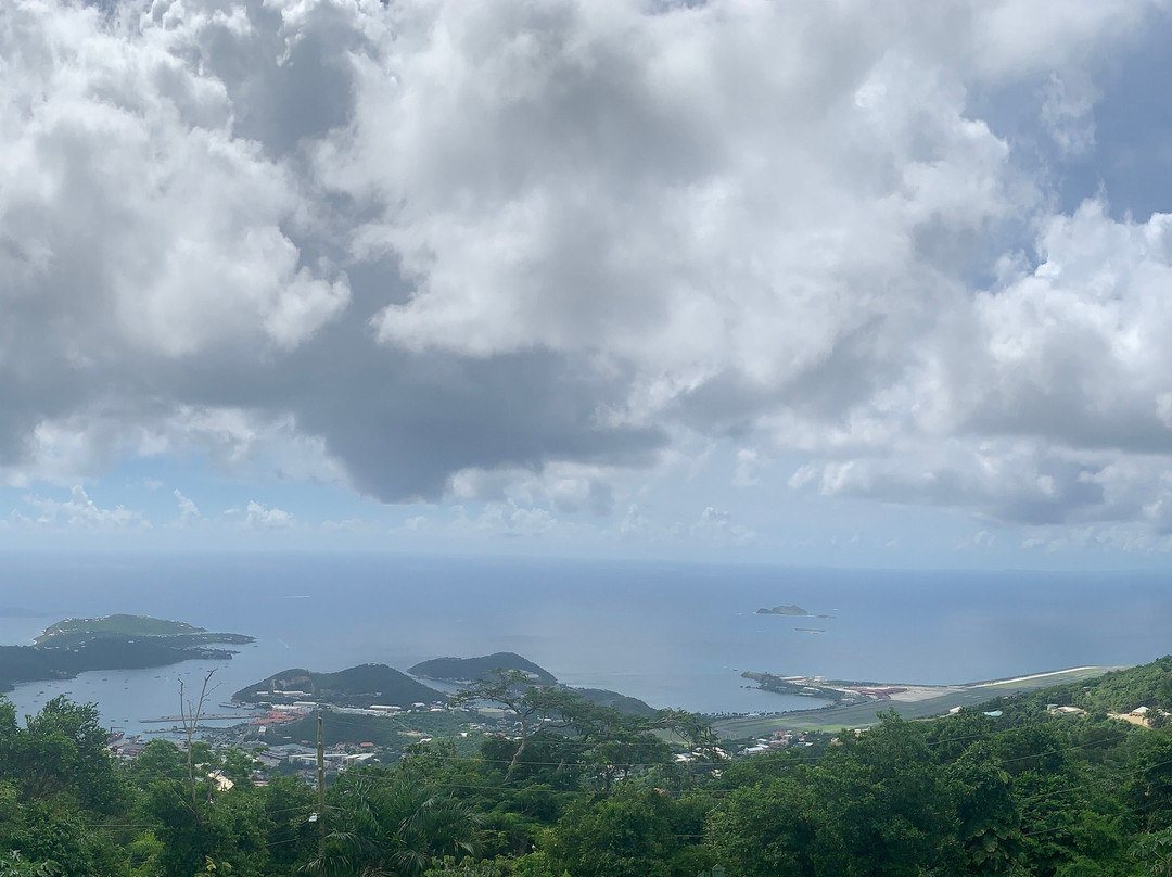 Big Love Taxi-夏洛特阿马利亚必去景点