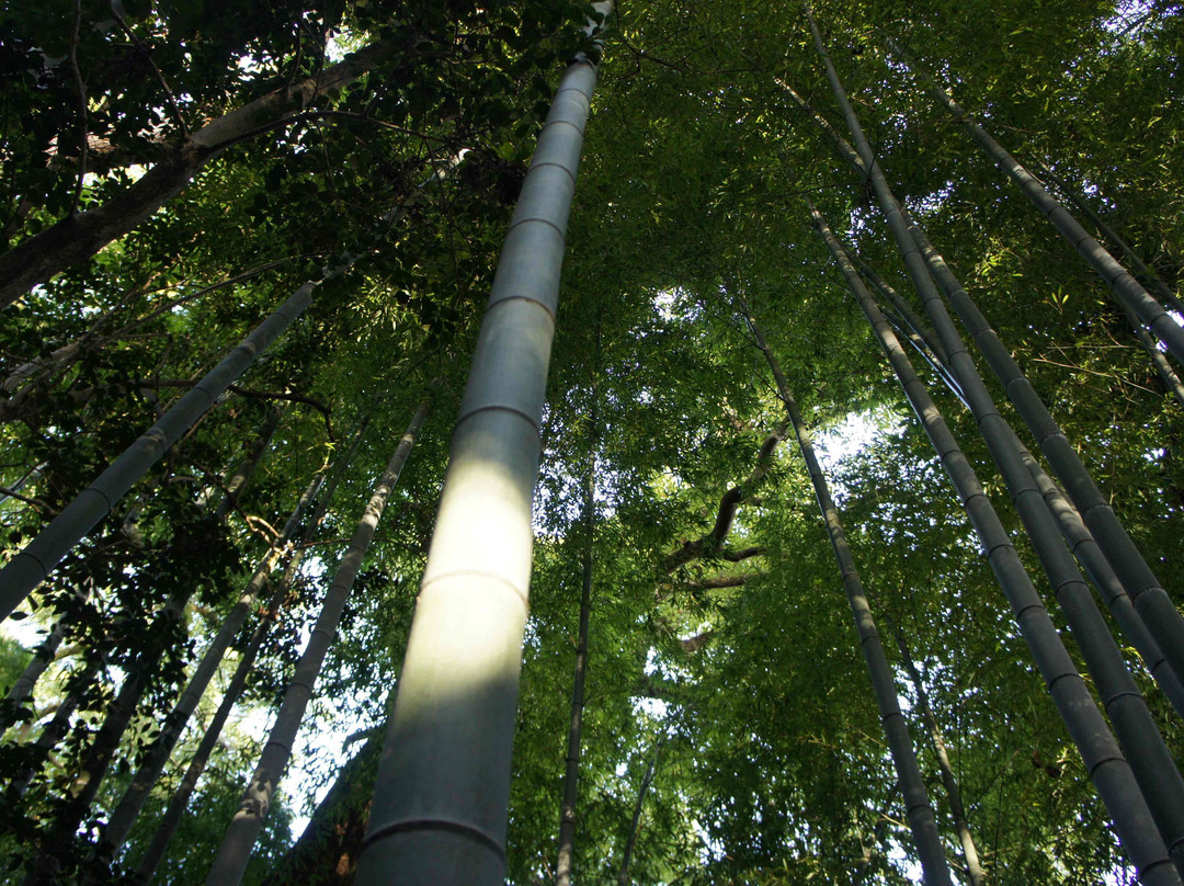 Otokoyama Observatory-八幡市必去景点