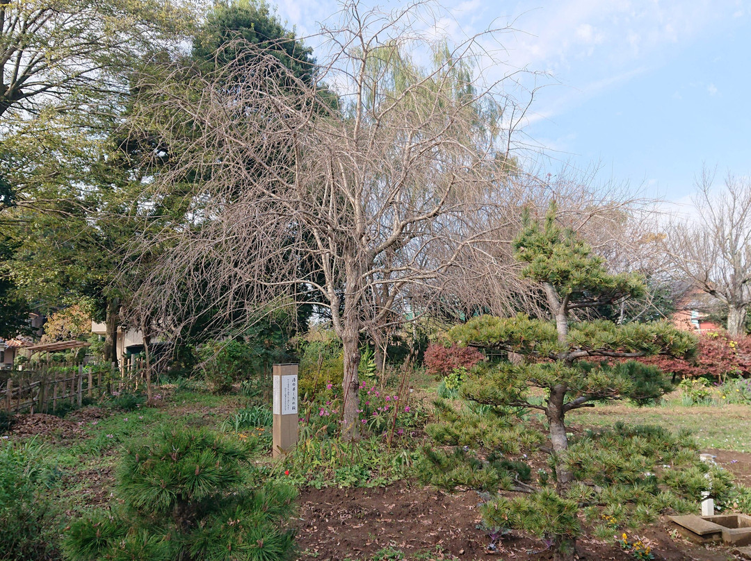 Sakenoi Monument-酒酒井町必去景点
