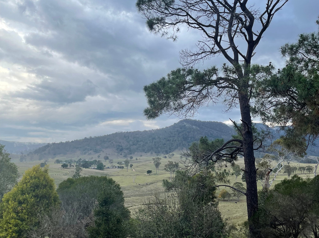 The Old School Bed and Breakfast主图