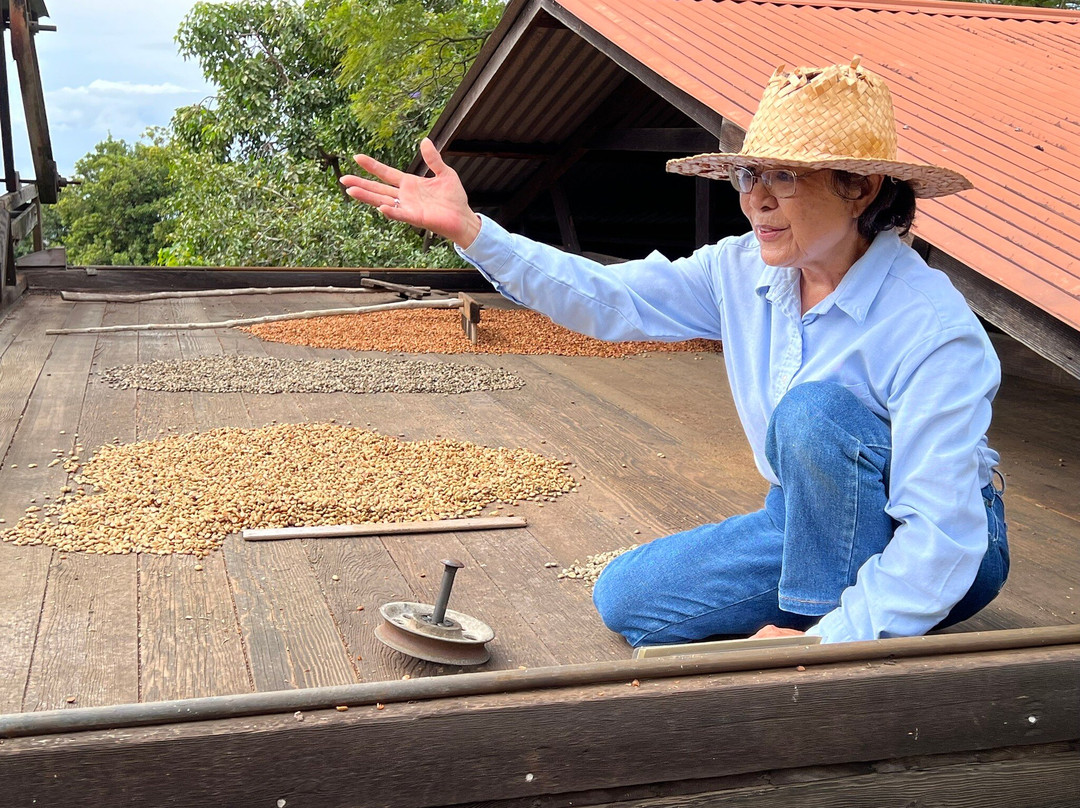 科纳咖啡历史农园-库克船长必去景点