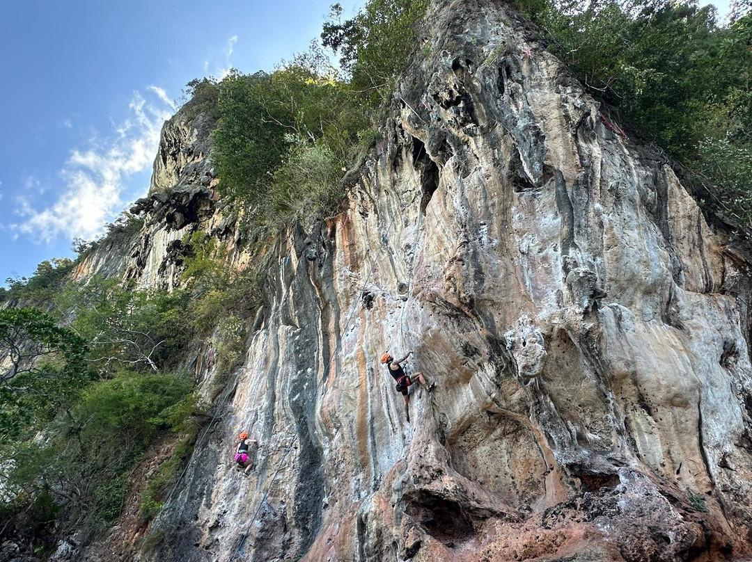 Spider Rock Climbing景点图片