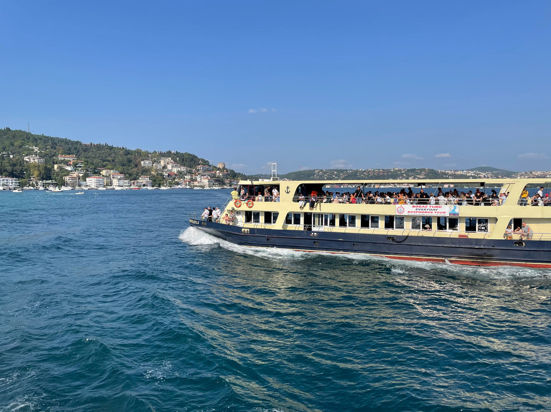Istanbul Bosphorus Cruise-伊斯坦布尔必去景点