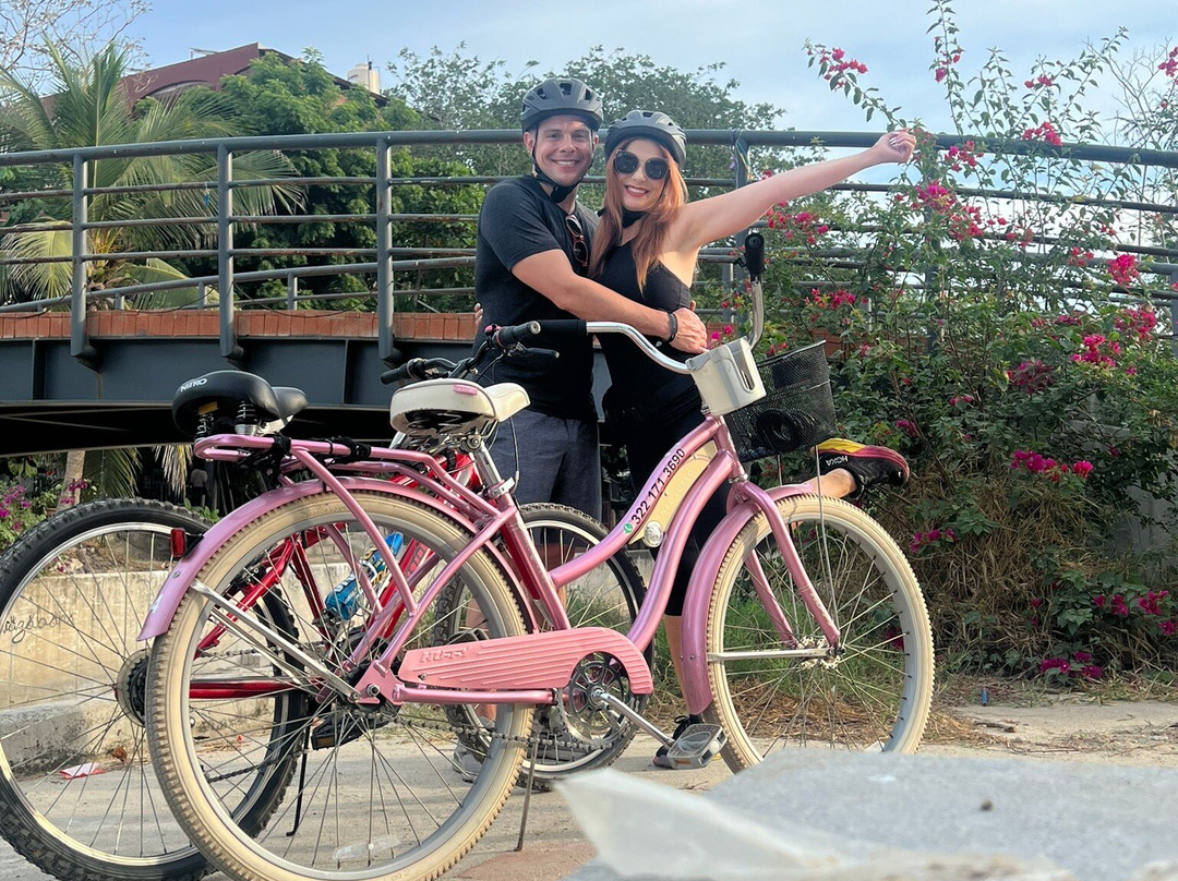 Fat Bike Rental-Flamingos必去景点