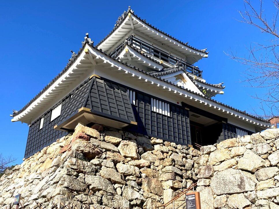 Hamamatsu Castle景点图片