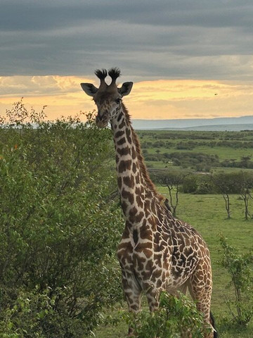 Tropical Cats Tours-蒙巴萨必去景点