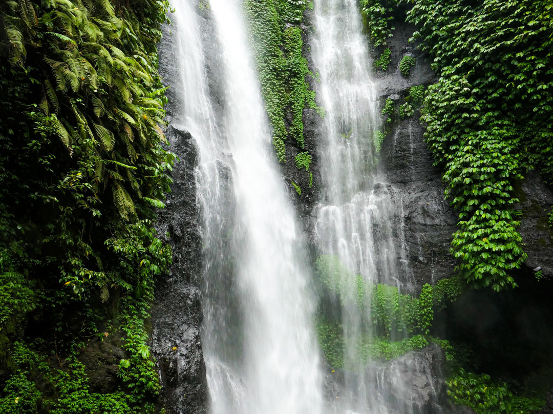 Four Elements Adventure-乌布必去景点