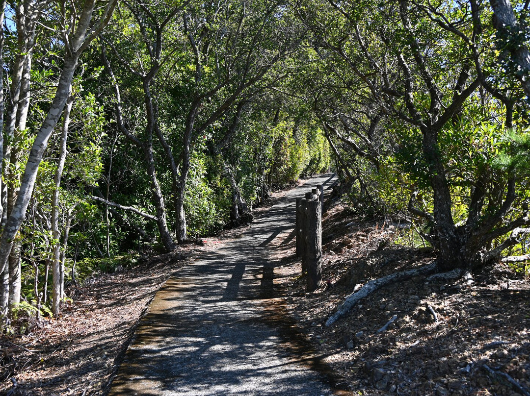 Ebisudo-美波町必去景点