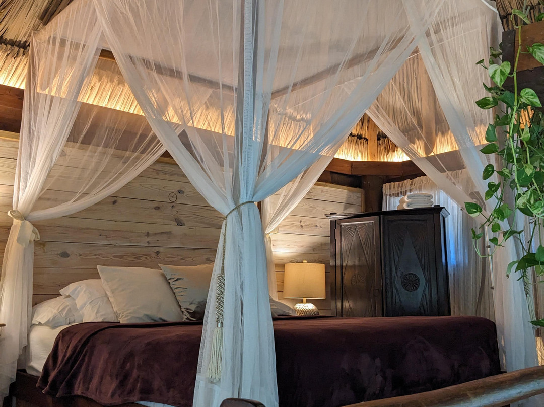 Aruba Ocean Villas主图