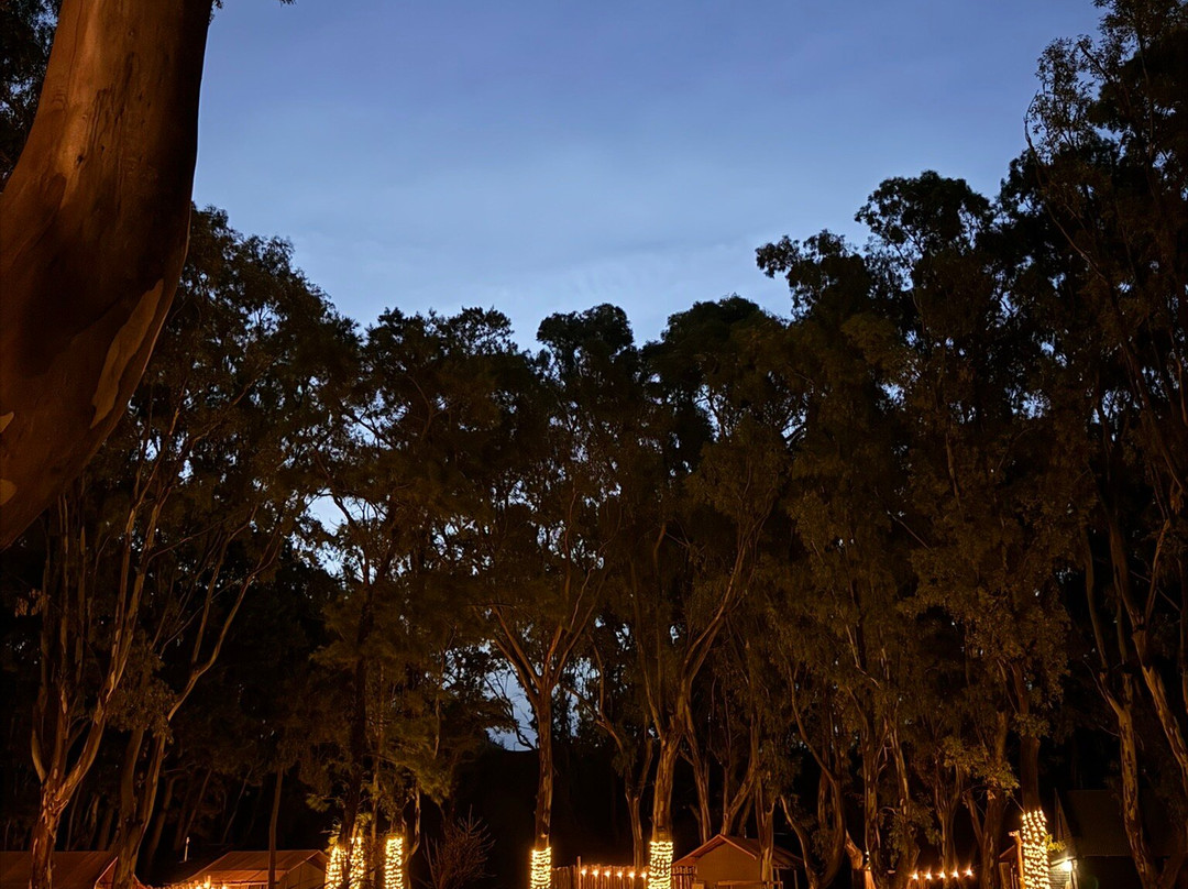 Parque de Agua Americano-Monte Hermoso必去景点