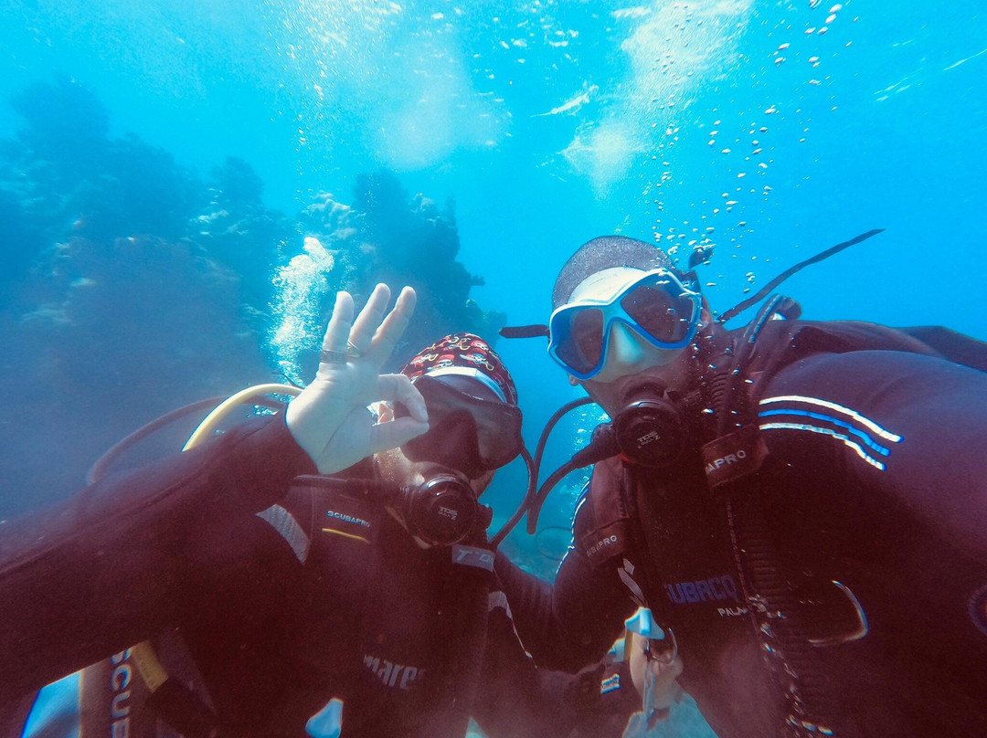 Barracuda Scuba Diving Center景点图片