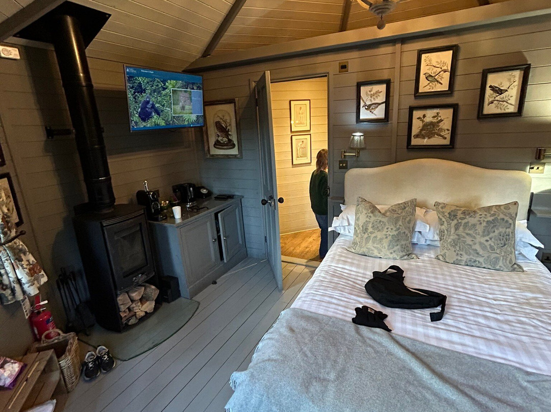 Forest Hideaway