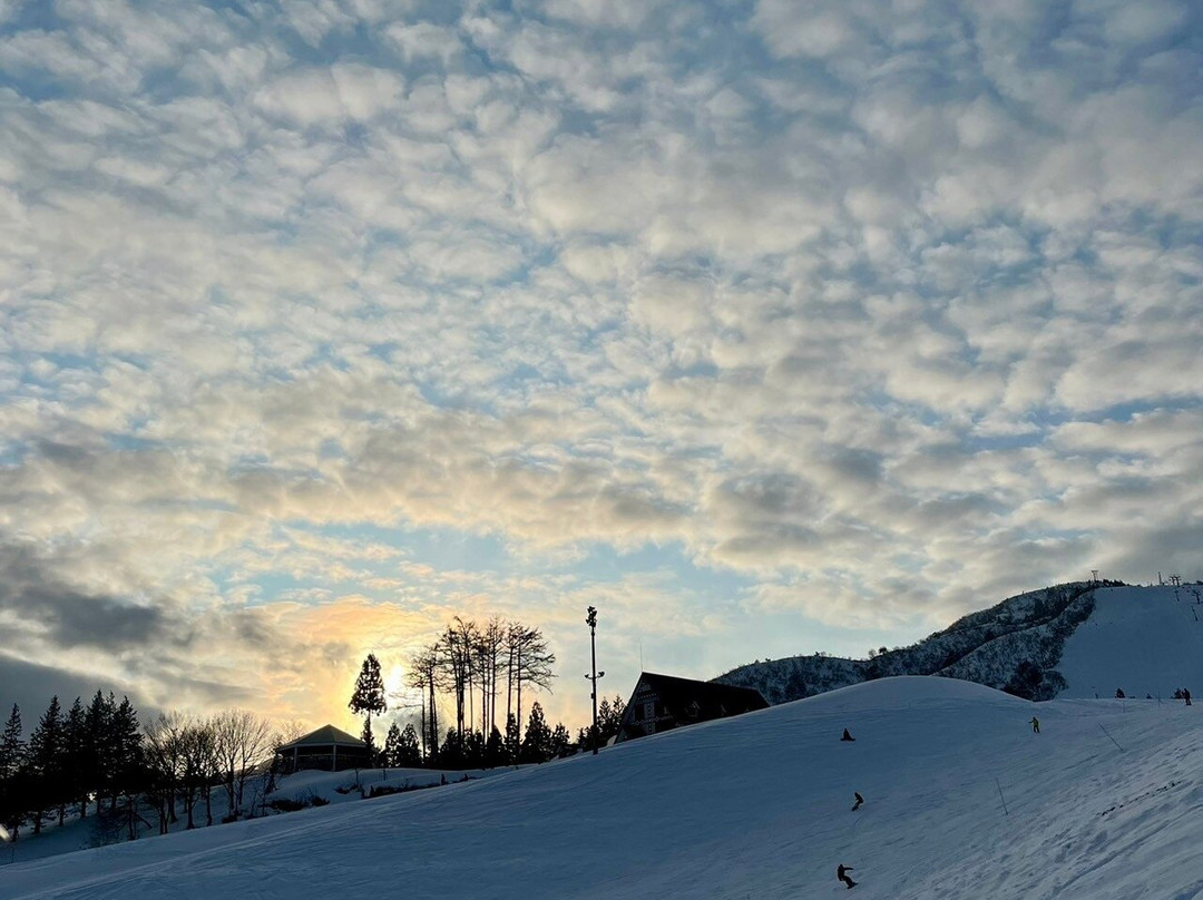 Jyoetsu International Ski Area景点图片
