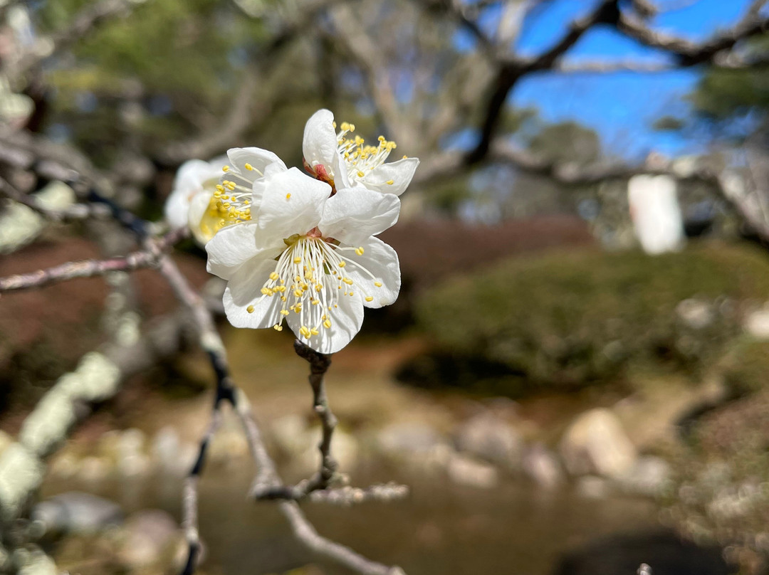 VASARA Kimono Rental KANAZAWA-EKIMAE-金泽市必去景点