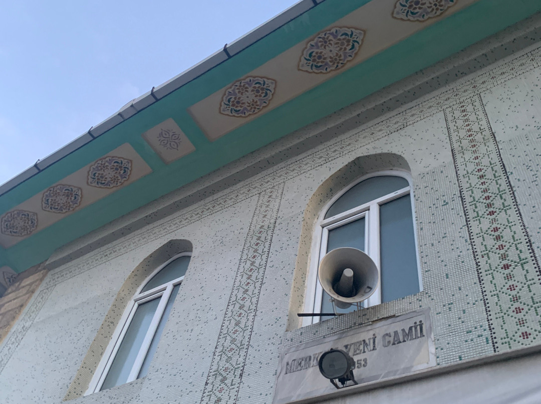 Vize Merkez Yeni Camii景点图片