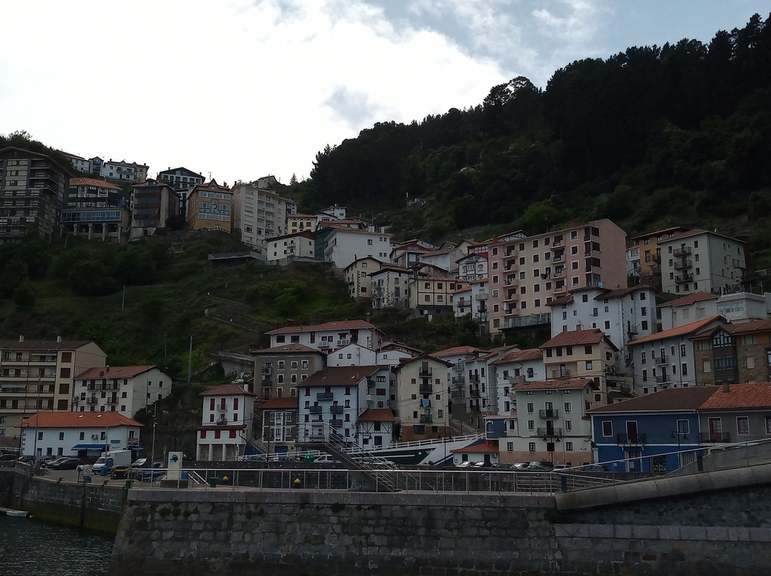 Puerto de Elantxobe景点图片