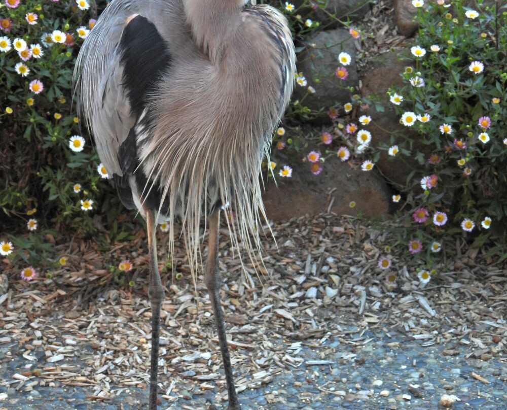 Roundstone Farm Bed and Breakfast Inn主图