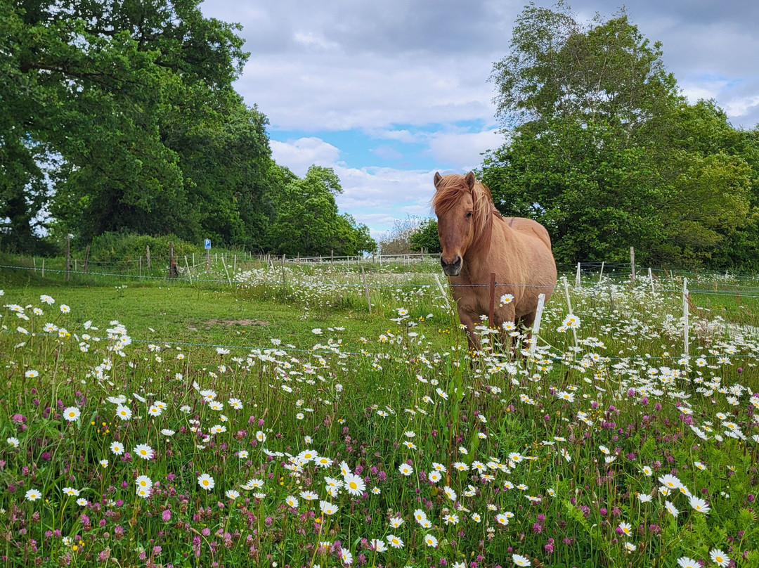 Domaine de Kervennec主图