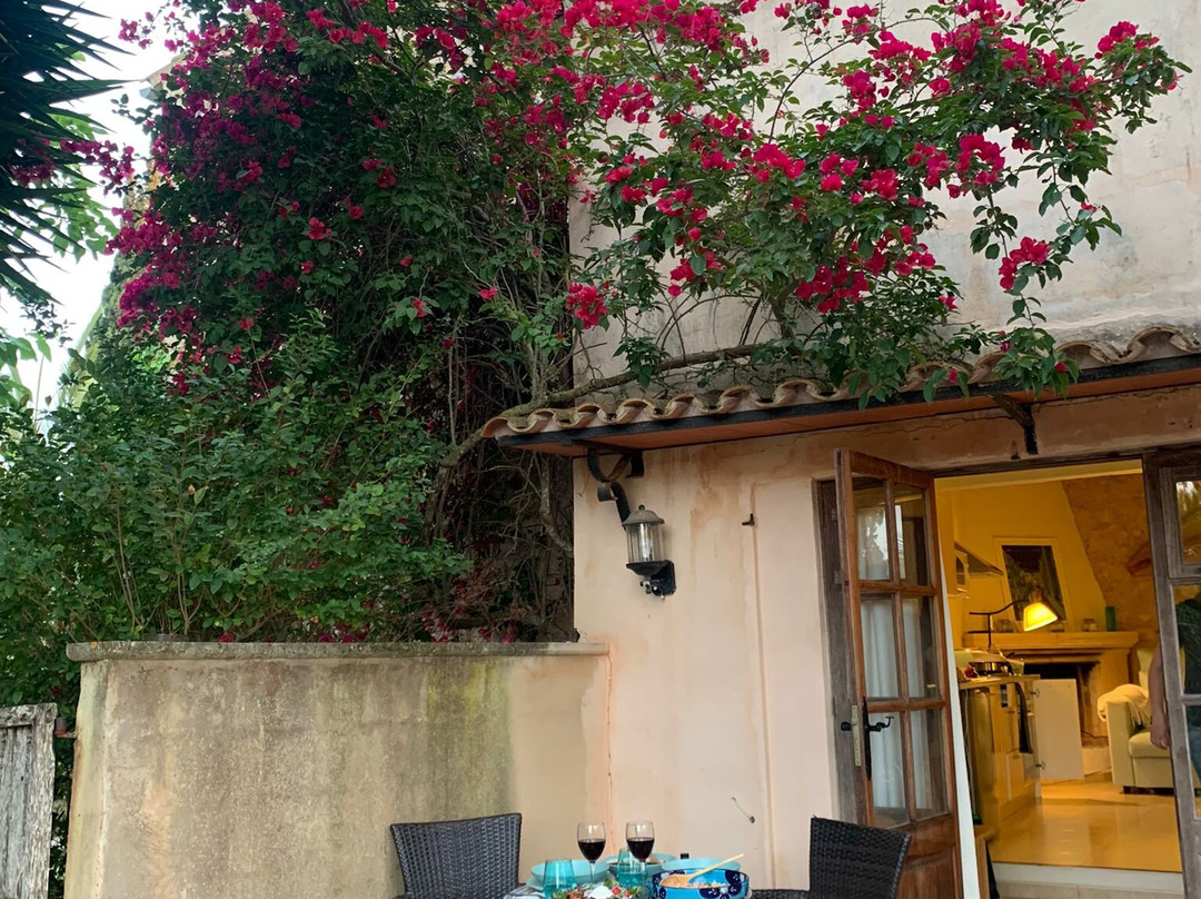 Finca Son Jorbo主图