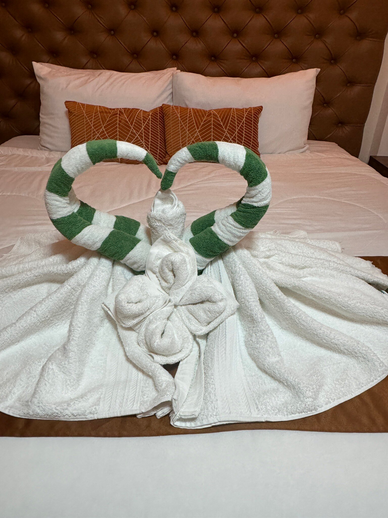The Mayana Resort-官方