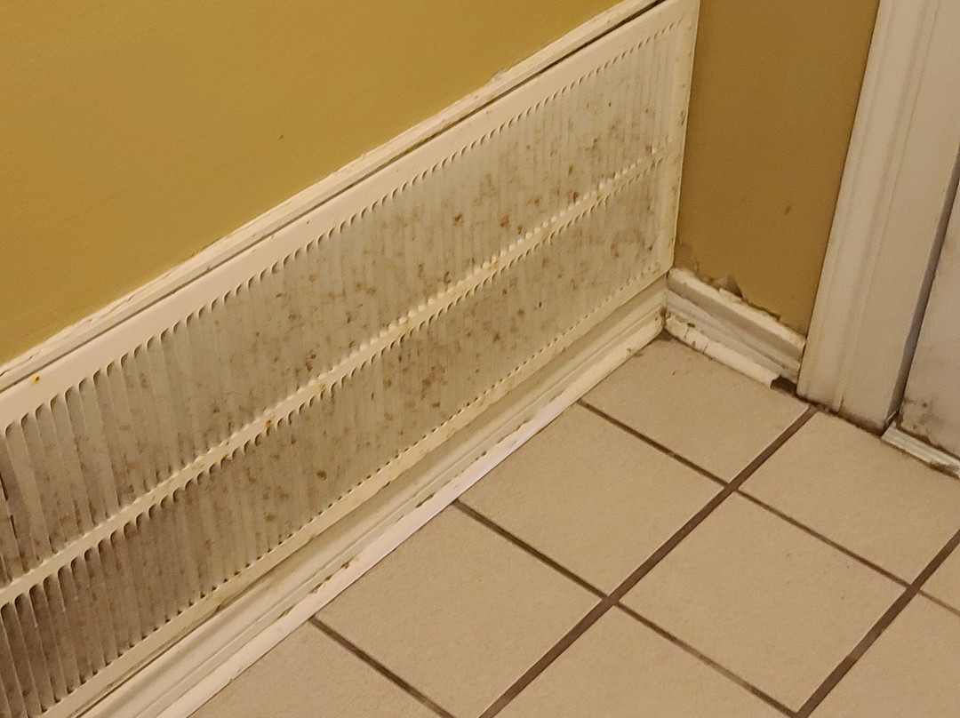 Columbia Lakes Resort and Country Club主图