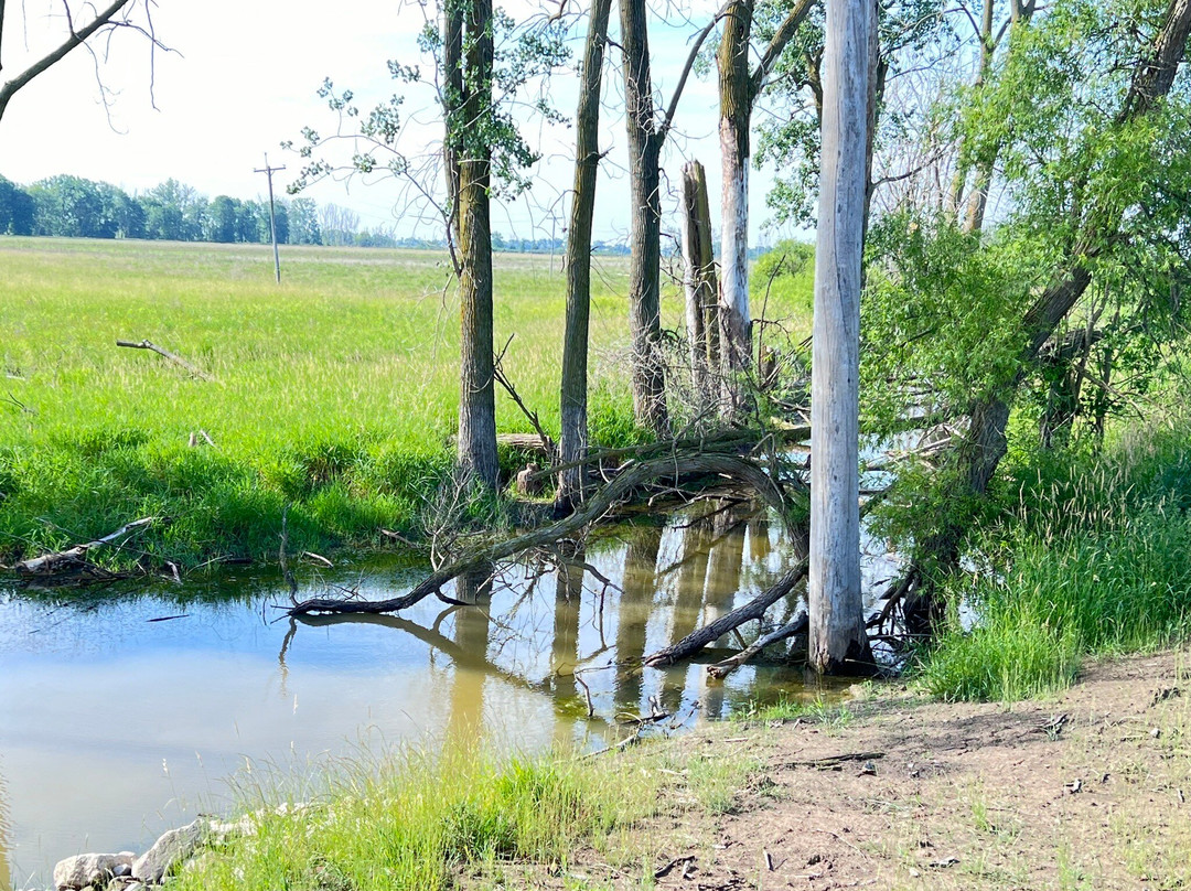 Shiawassee National Wildlife Refuge景点图片