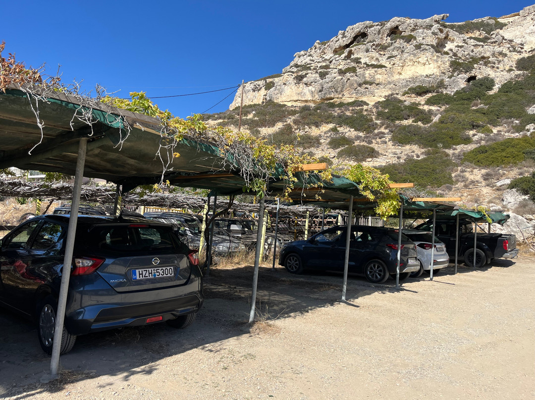 Orion Rent a Car