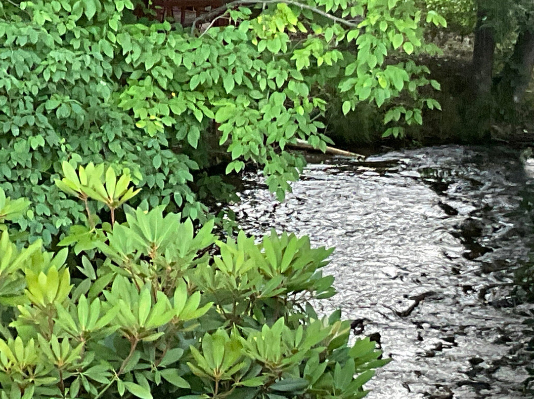 Maggie Valley Creekside Lodge主图