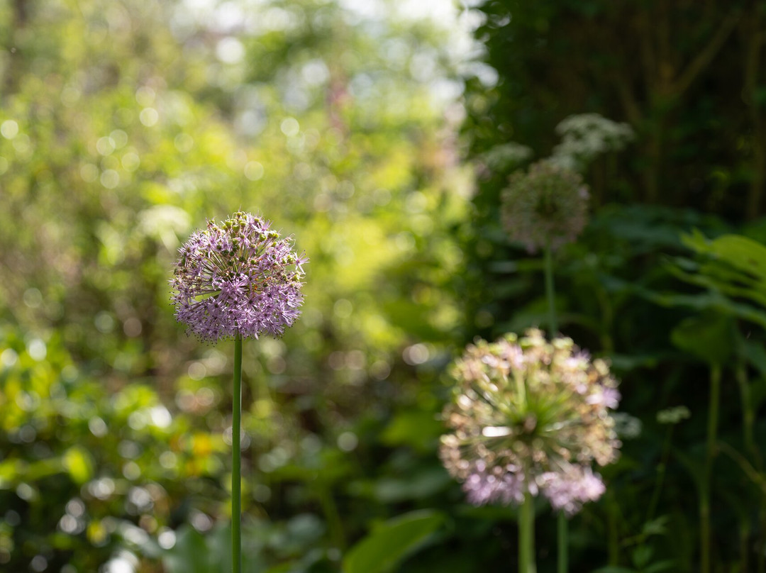 Cruachan House主图