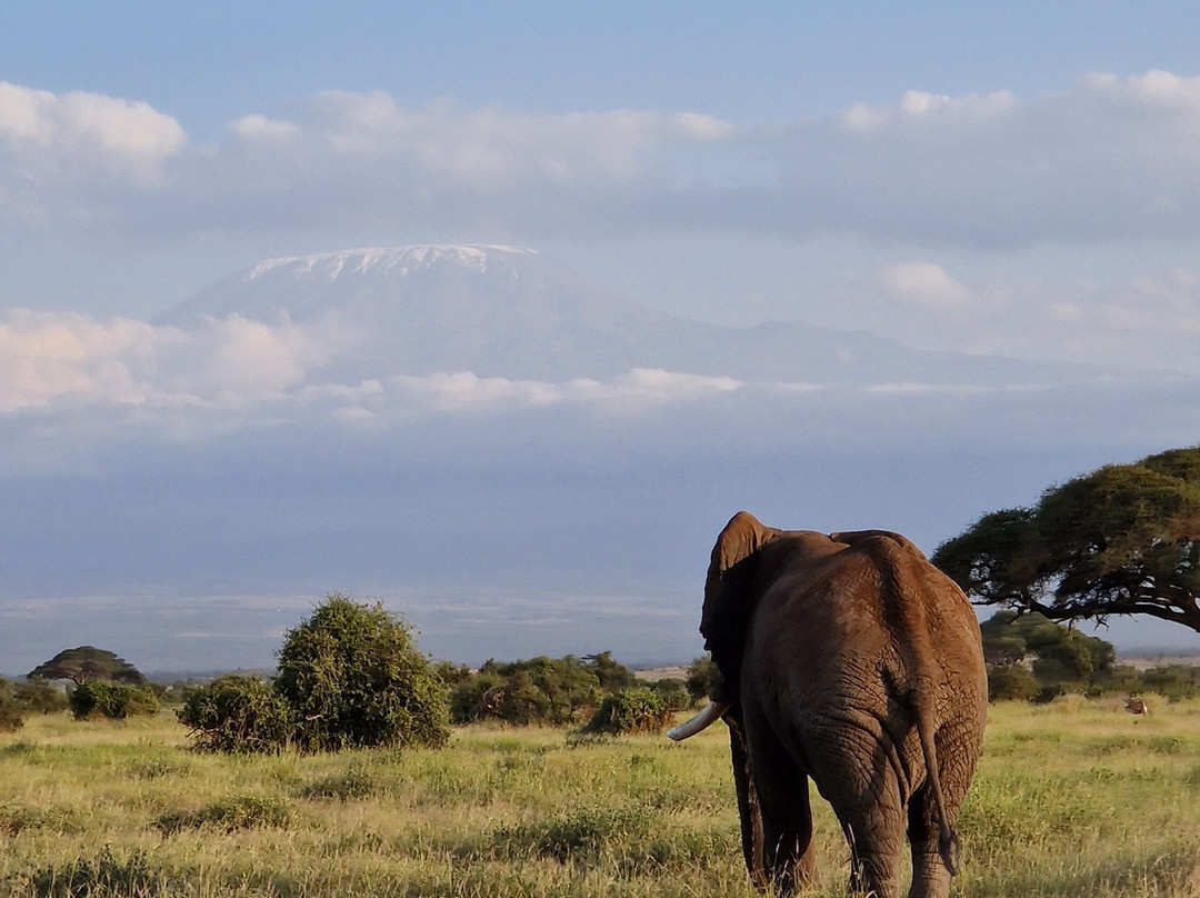 First African Dream Tours & Safaris-蒙巴萨必去景点