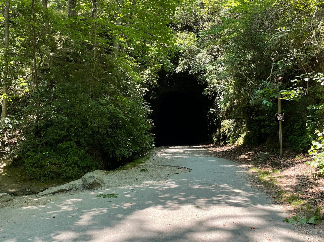Stumphouse Mountain Tunnel景点图片