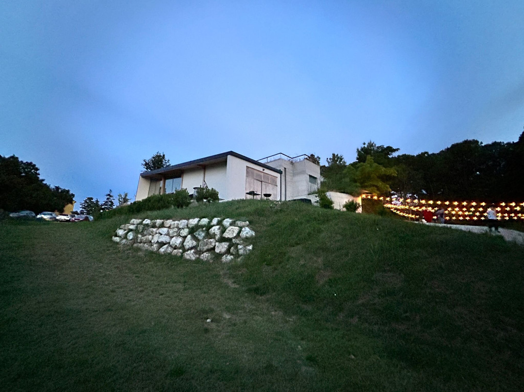 Vigna Della Cava景点图片